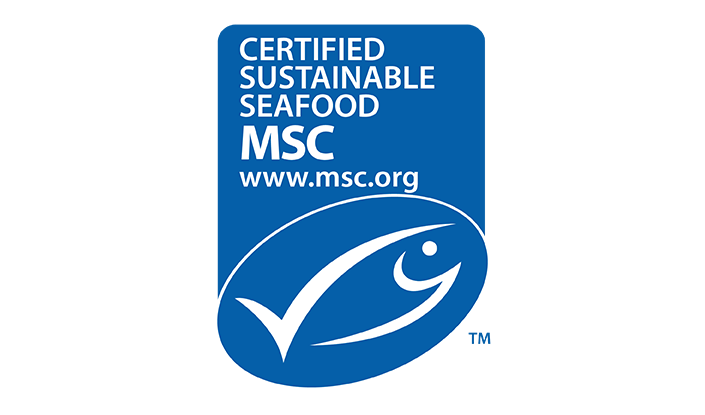 msc logo